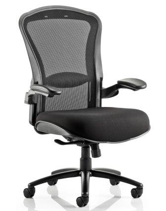 Haley heavy duty task chair with mesh back